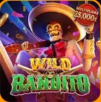 Wild Bandito