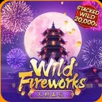 Wild Fireworks