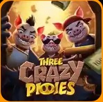 Three Crazy Pigs